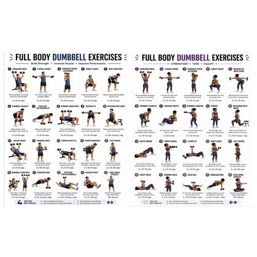 Dumbbell workout exercise - dumbbell,