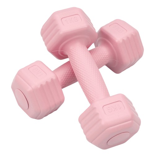 Pair 1kg dumbbells - pair, hand