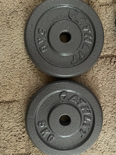 Cast iron weight plate 2x5 - ,