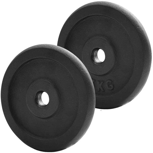 Cast iron weight plates - 2x,