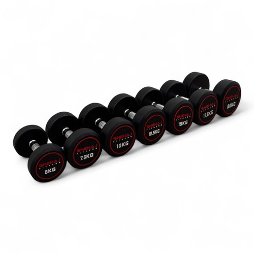 Round dumbbells cast iron - round,